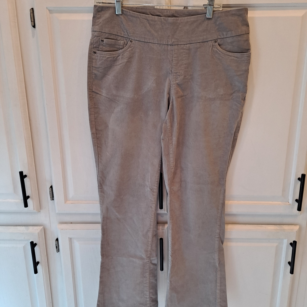 Chadwicks Light Gray Stretch Pullon Bootcut Corduroy Pants
